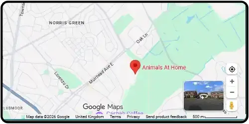 Map showing Animals at Home in West Derby L12 5HH, Merseyside