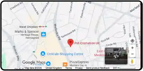 Map showing Petcremation in Reading, Berkshire