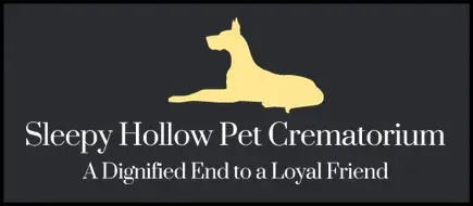 Sleepy Hollow in Llanelli SA14 6NT, South Wales