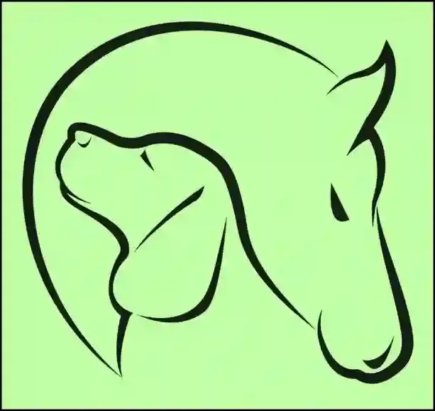 Your Pet and Equine Heaven in Bridgend CF32 9TD