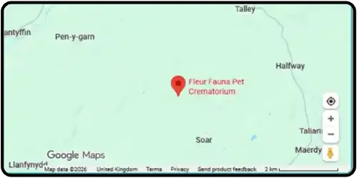 Map showing Fleur Fauna Pet Crematorium in Llandeilo SA19 7EN
