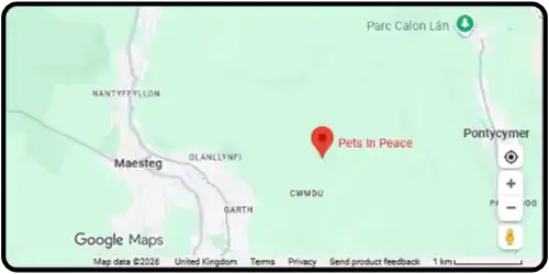 Map showing Pets In Peace in Maesteg CF34 0DH