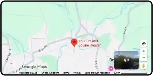 Map showing Your Pet and Equine Heaven in Bridgend CF32 9TD