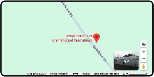Map showing Templecurran Pet Cremation in Larne BT40 3LW Antrim And North East Northern Ireland