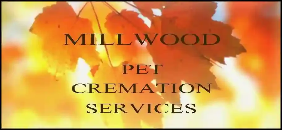 Millwood Pet Crematorium in Lisburn BT28 3TF