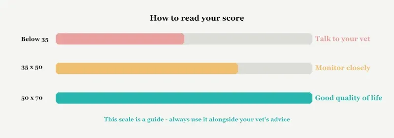 How to read the HHHHHMM Quality Of Life Scale
