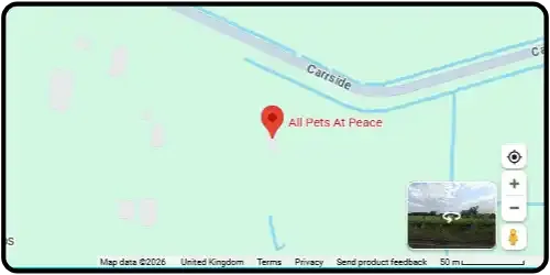 Map showing All Pets At Peace in Doncaster DN9 1EA North Lincolnshire