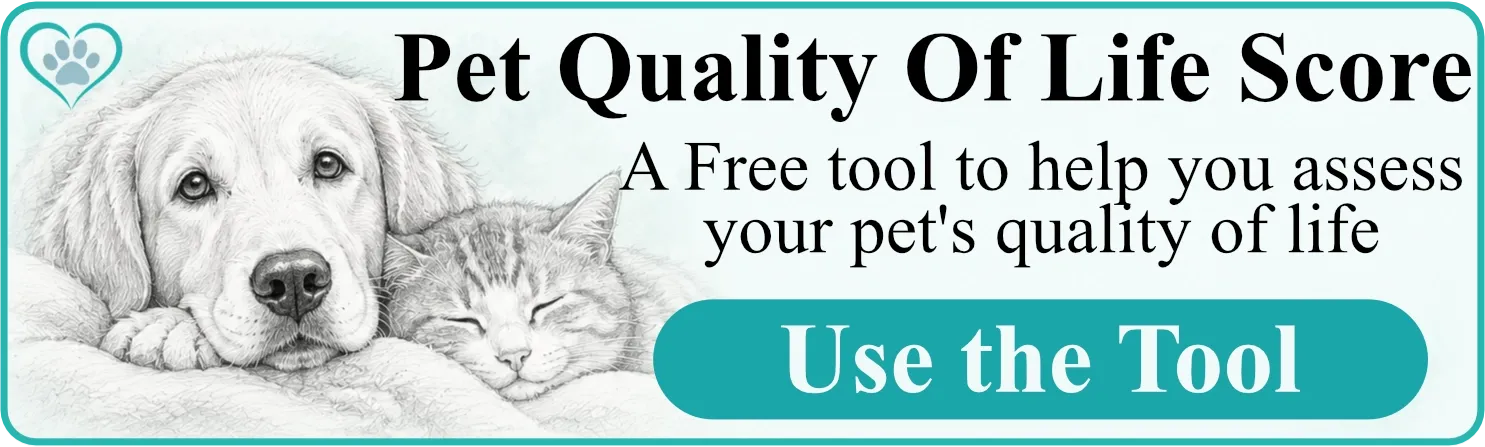 Pet Quality Of Life Score Tool