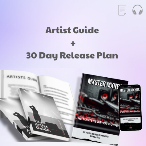 Artist Guide + 30 Day Plan