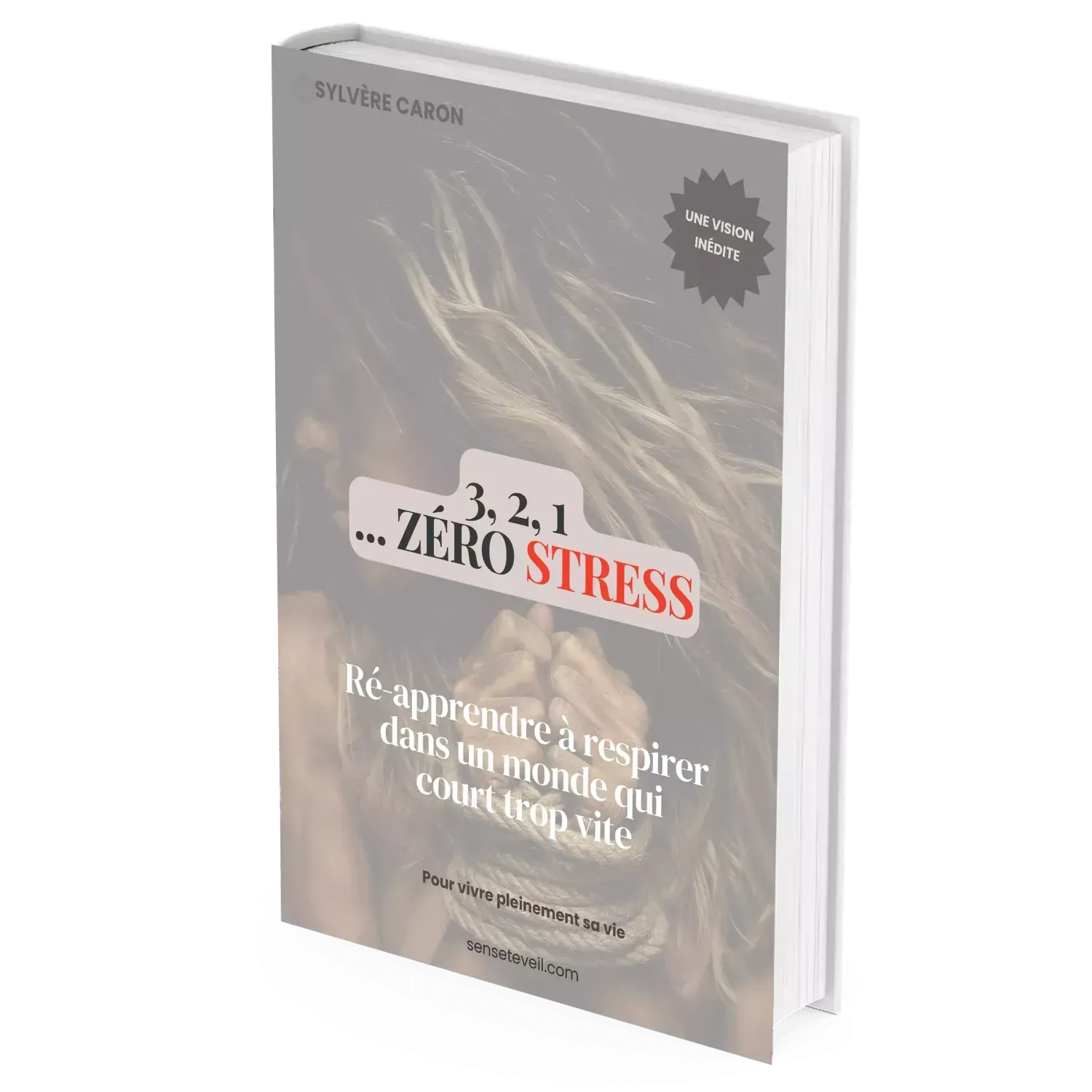 Couverture ebook 3, 2, 1… Zéro Stress (PDF)