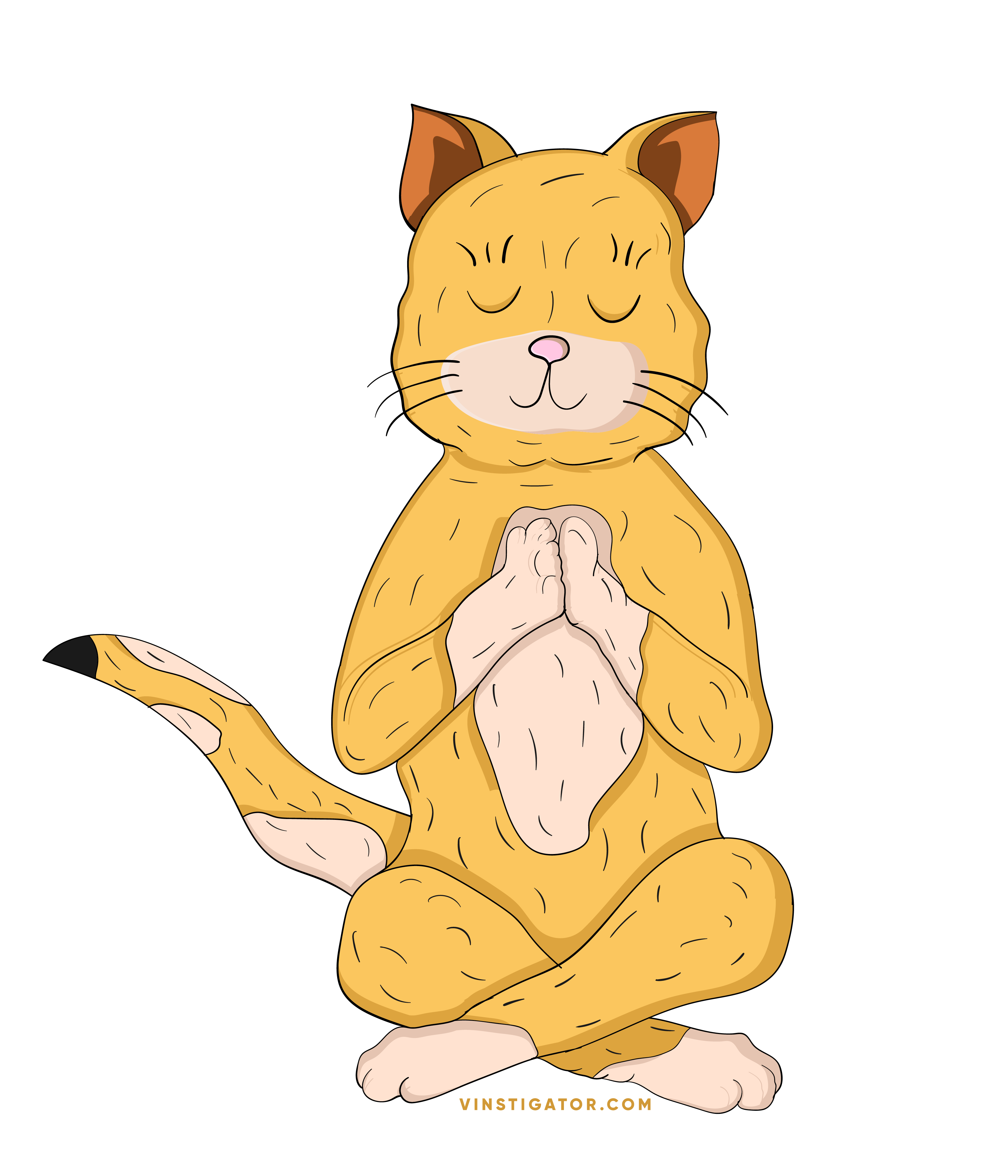 cat in lotus pose