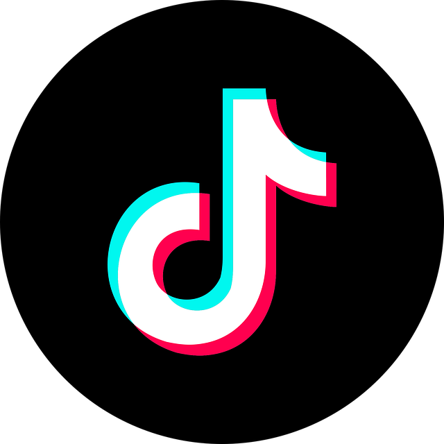 TikTok link to Vinstigator
