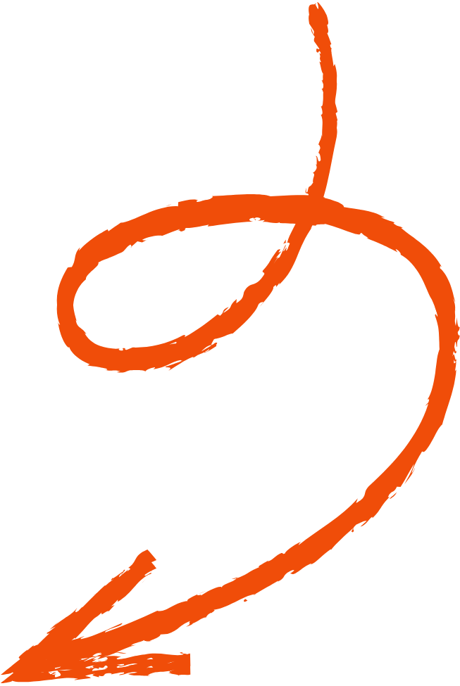 Seta decorativa