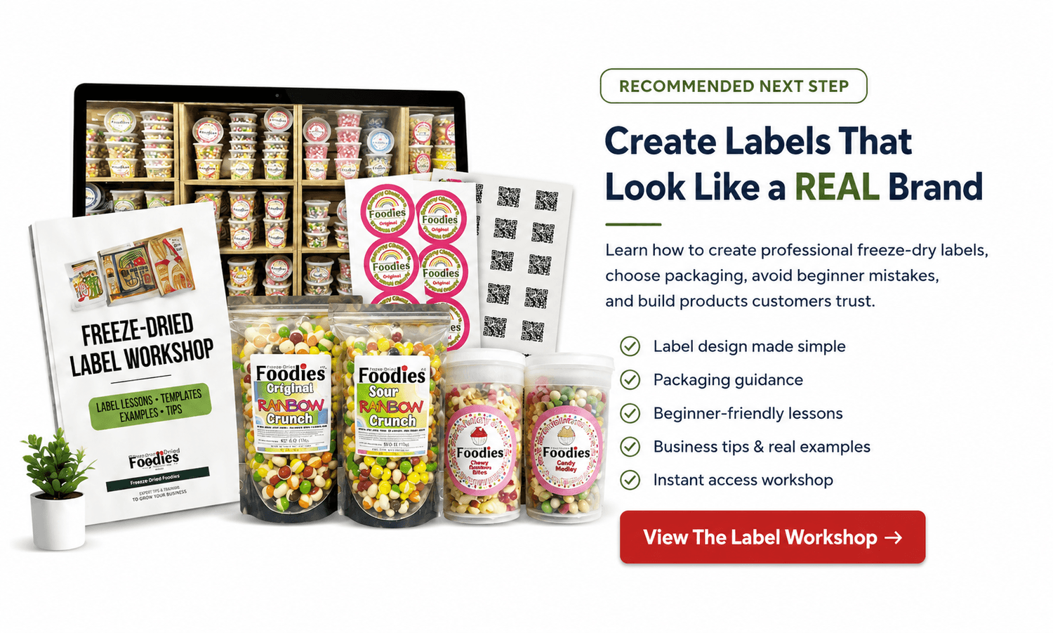 Create Labels that look like a real brand. View the label workshop.