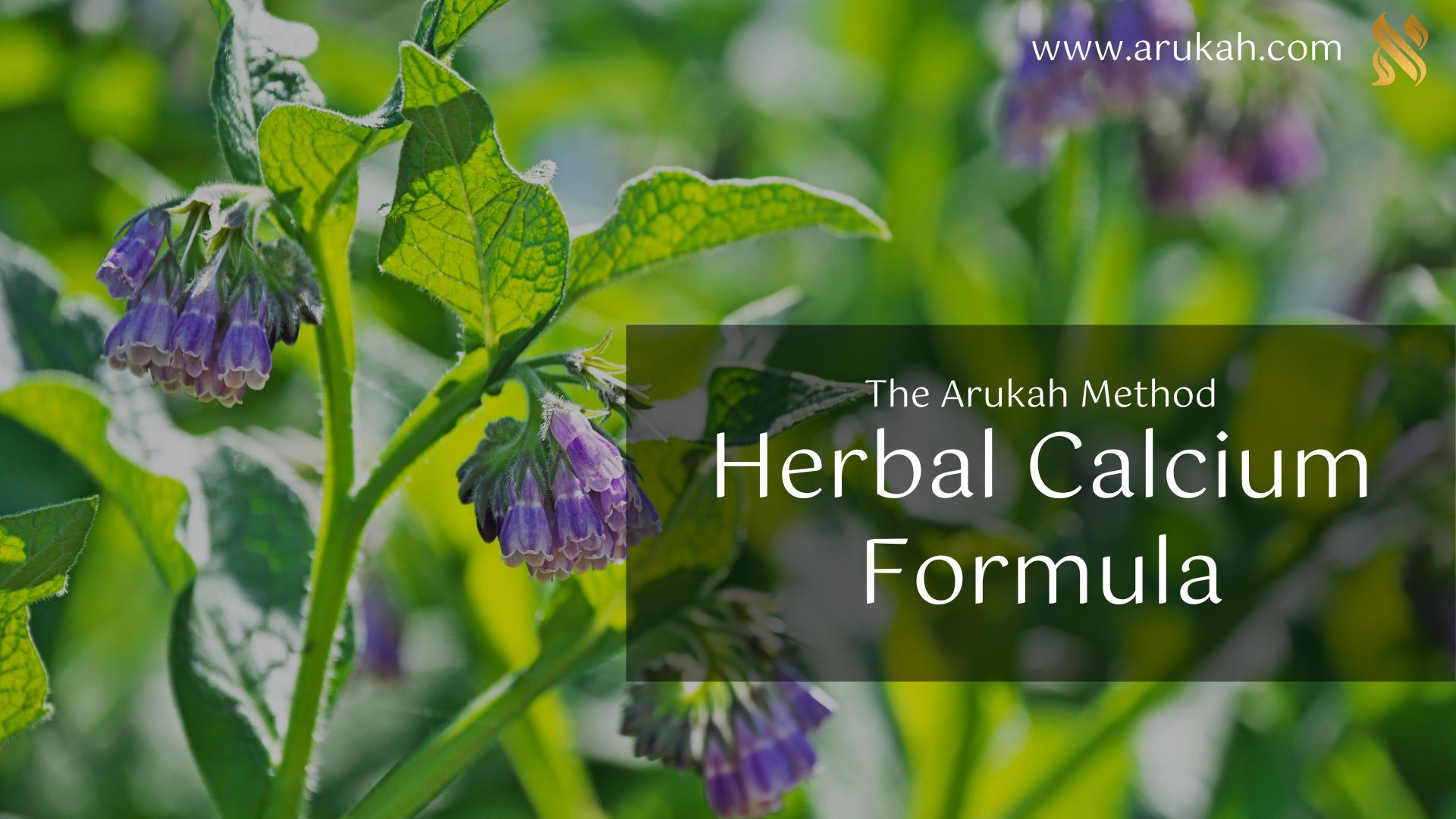 Herbal Calcium Tea Formula