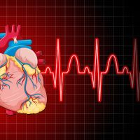 électrocardiogramme.jpg