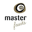 Master