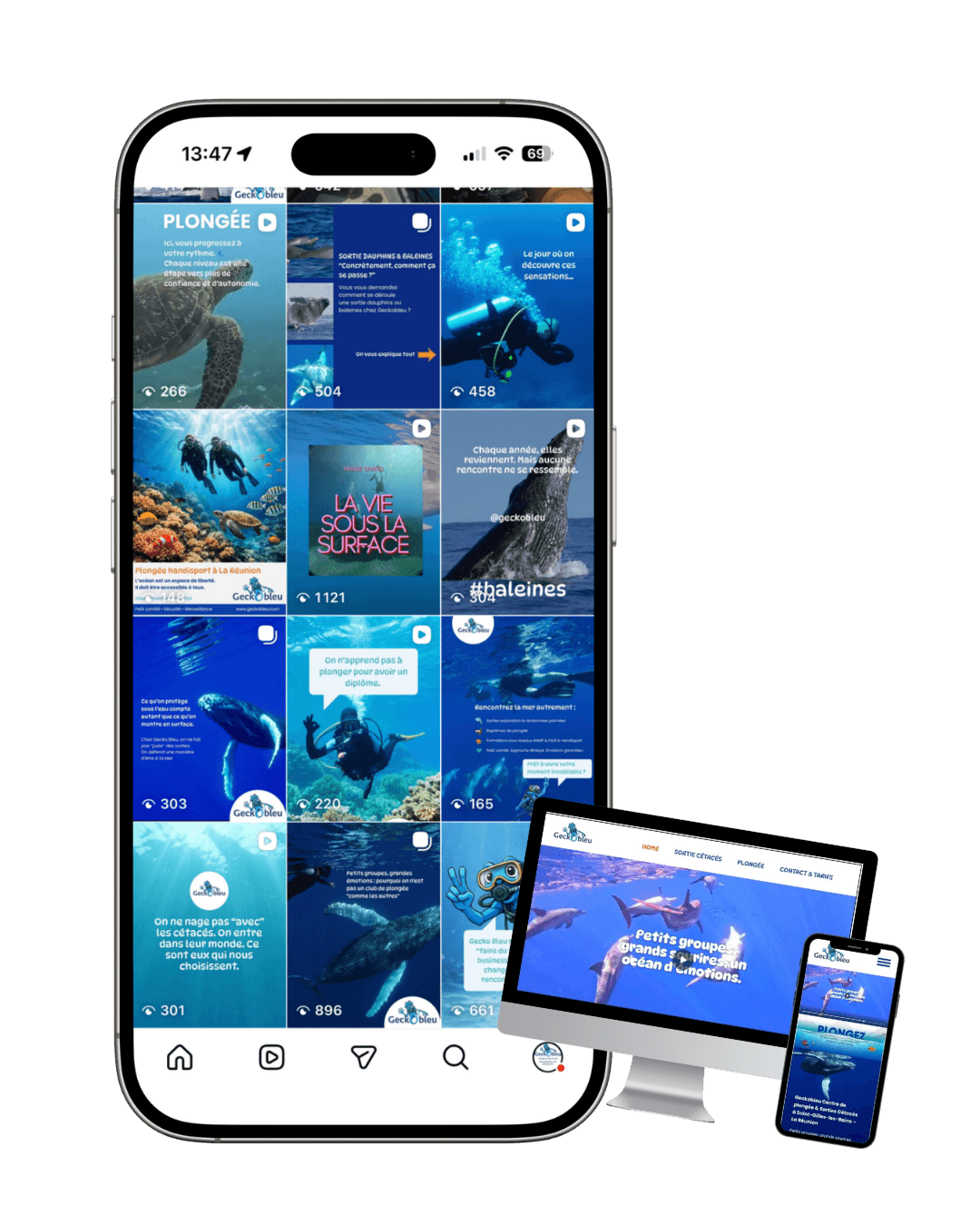 Gecko Bleu &ndash; feed & site