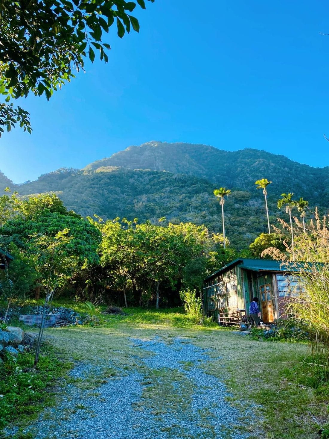 森林家屋與後方的山