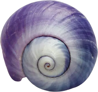 Go back to On Demand Hypnosis home page