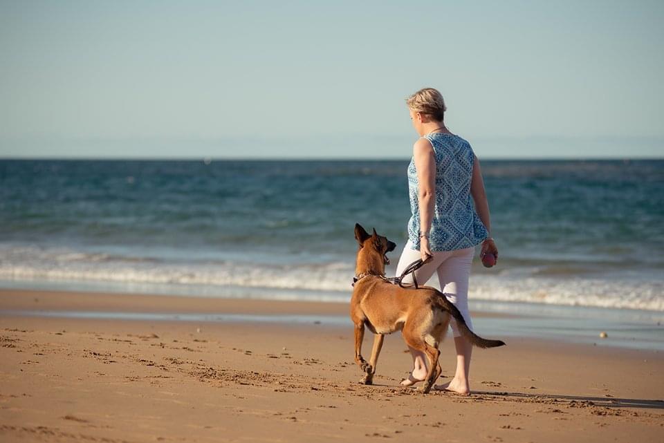 Free Stop Barking & Lunging At Other Dogs On Walks