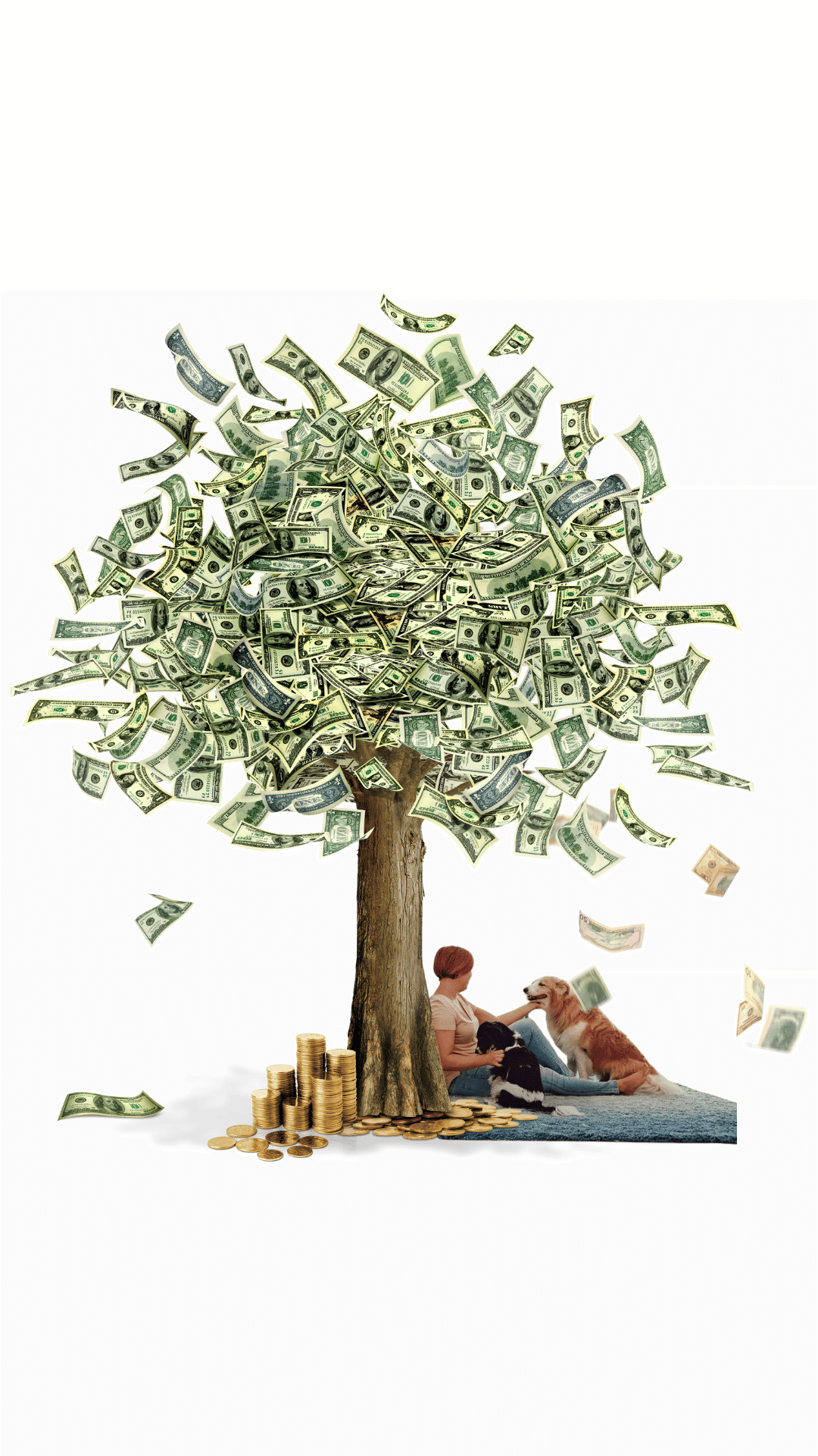 Making money as a dog trainer
