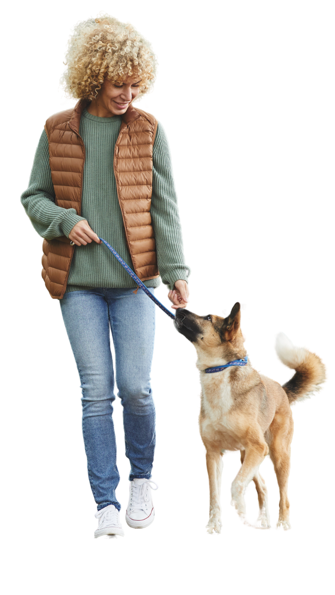 the profitable dog trainer
