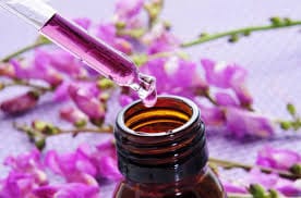 Bilan de naturopathie pour l'alimentation et la vitalité - Dorine Ratié