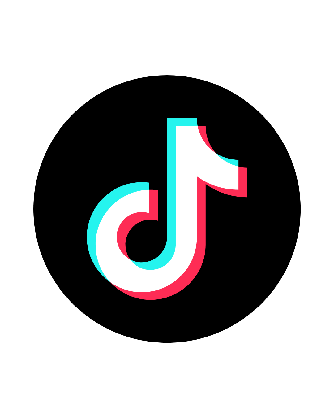 segui il canale tiktok
