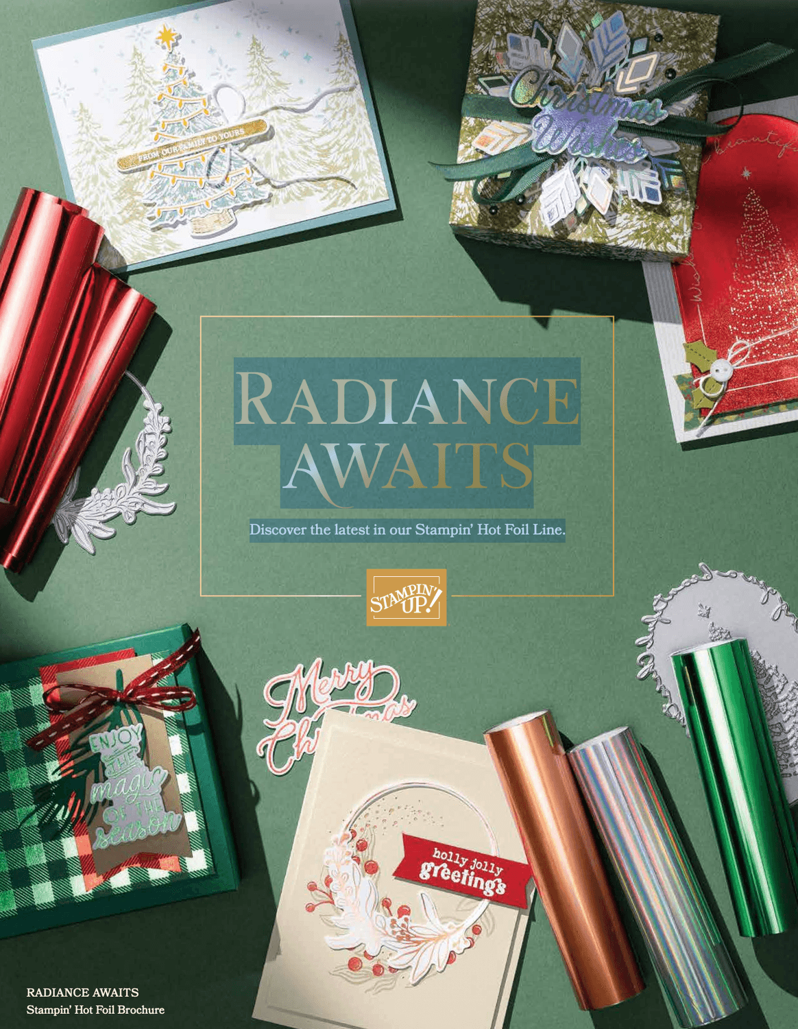 https://www.stampinup.com/catalogs/digital-catalogues
