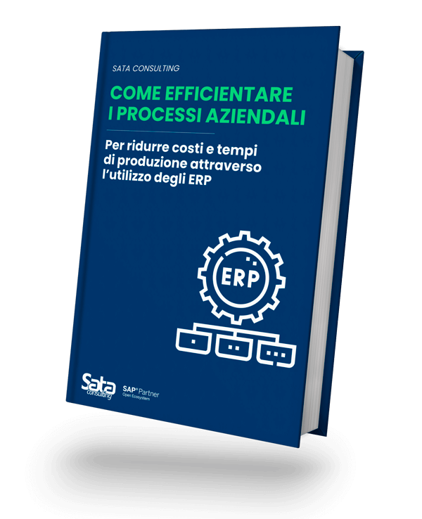 whitepaper erp