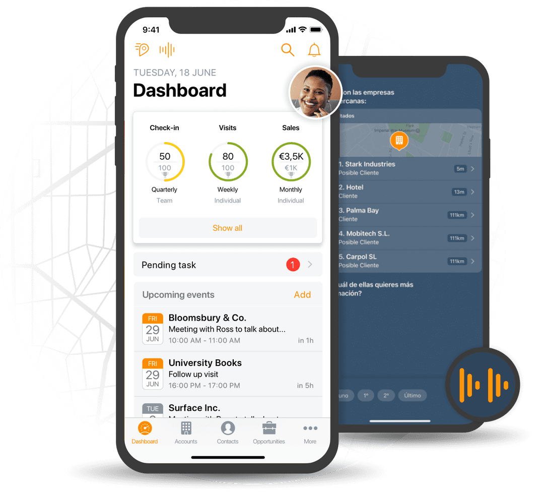 sata consulting