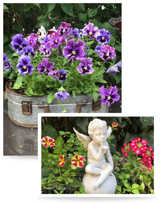 Purple flowers and garden angel from Teresa Jessen's garden