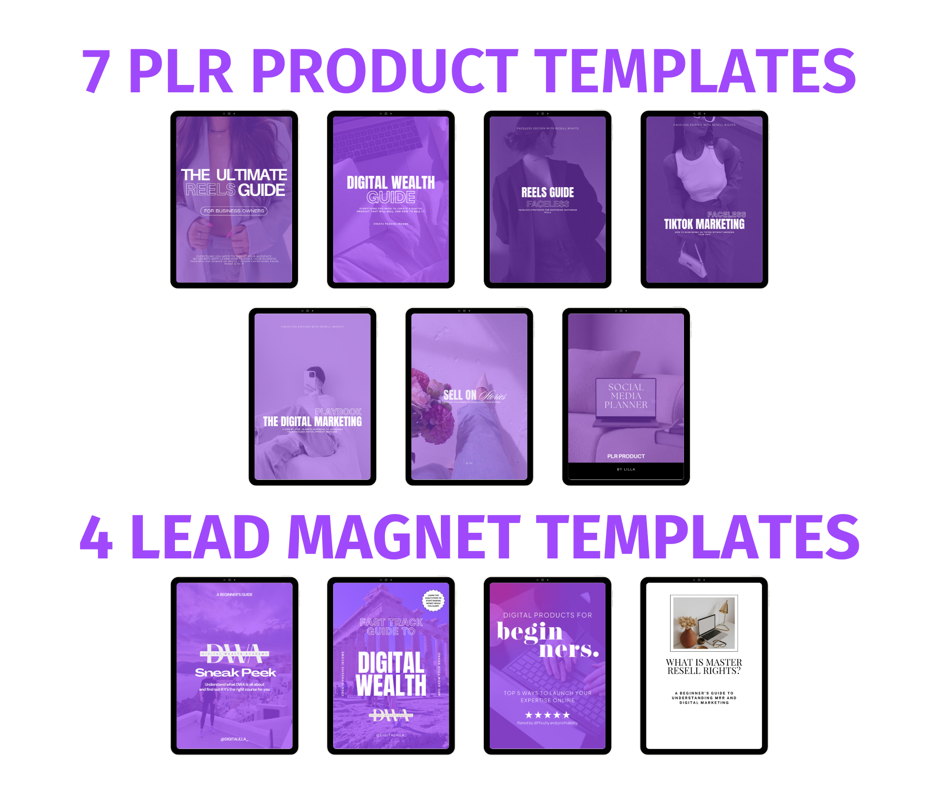 MRR and PLR Products Mockup