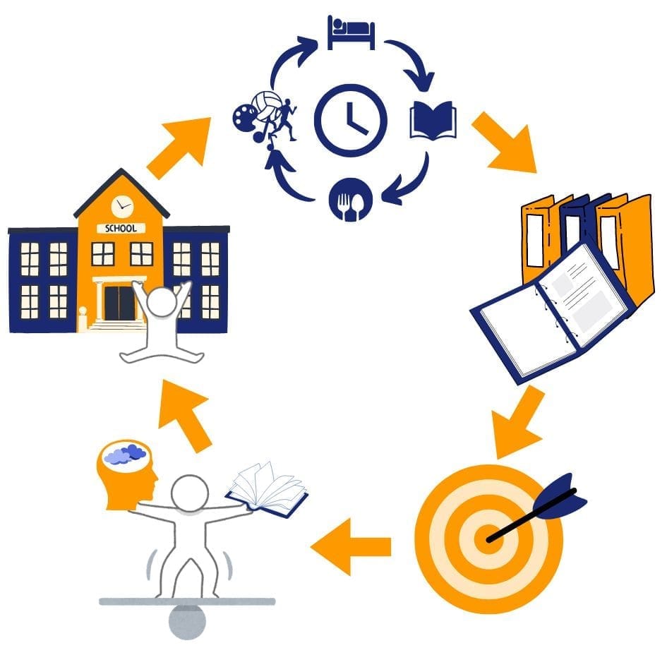 Schema illustrato con i passaggi per affrontare il nuovo anno scolastico: routine, studio, obiettivi, equilibrio e serenità.