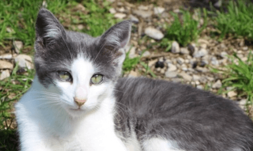 Réservez votre consultation