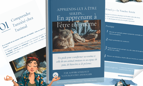 Obtenez votre Ebook dès maintenant !