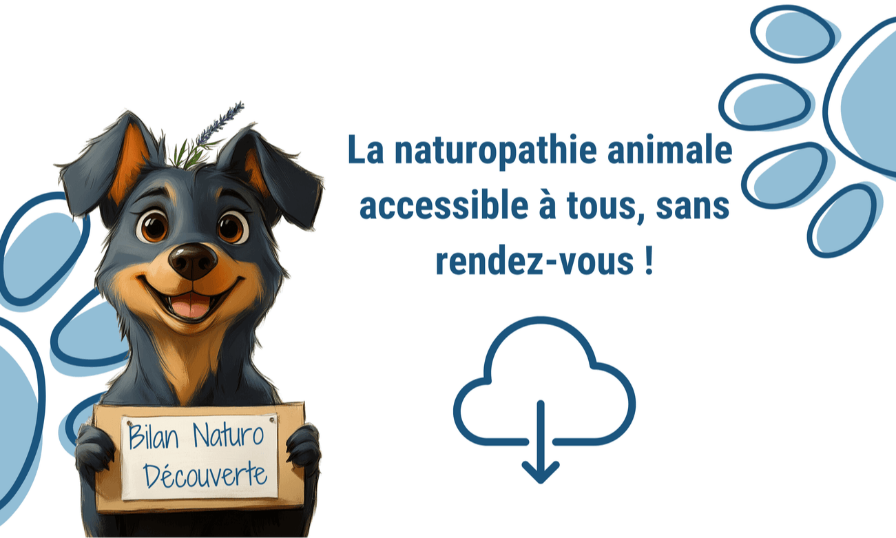 🌿 Offrez une approche naturelle personnalisée à votre compagnon