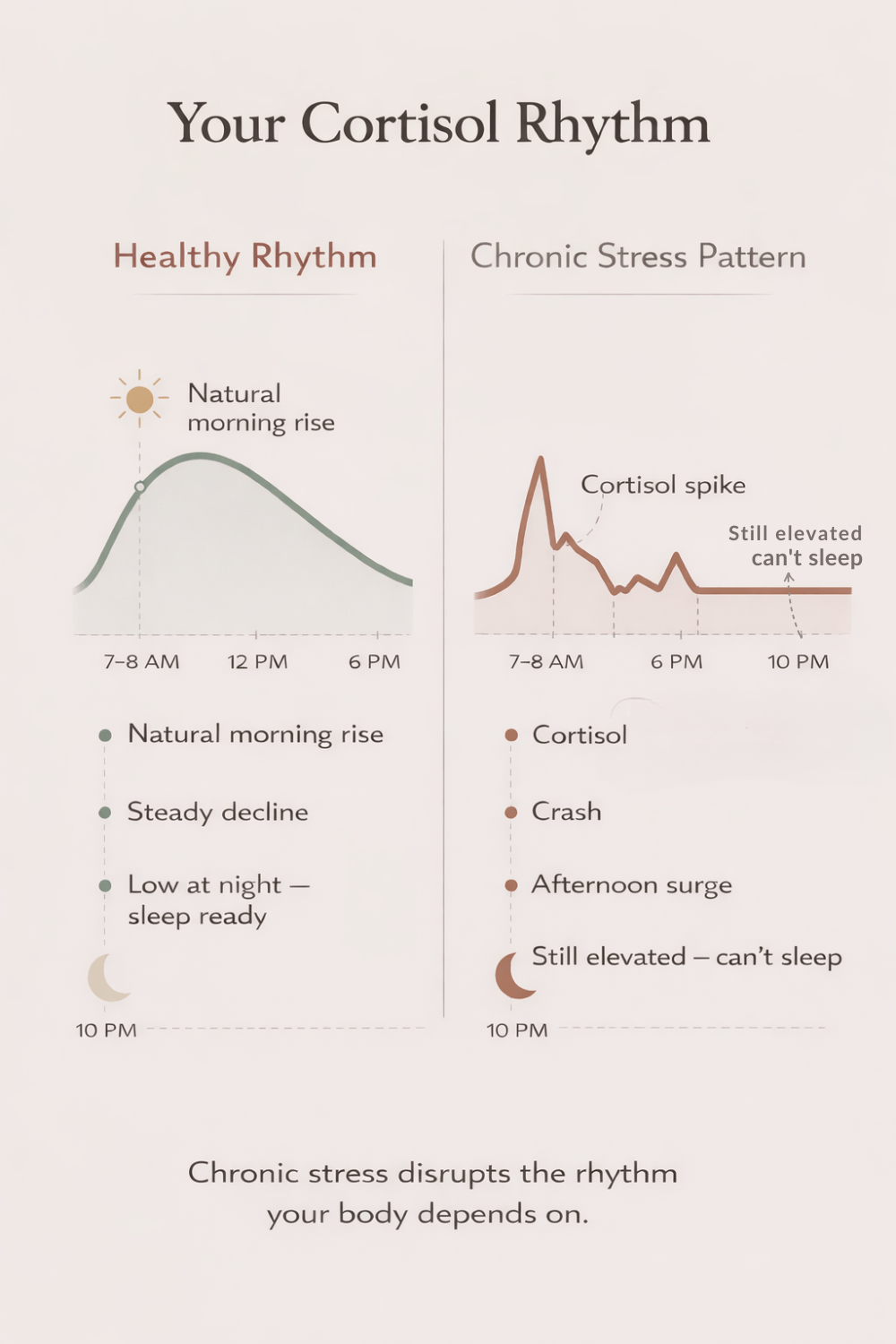 Infographic comparing a healthy cortisol rhythm vs a chronic stress pattern throughout the day, showing a smooth morning rise and evening decline versus spikes, crashes, and elevated nighttime cortisol that can lead to fatigue and sleep problems