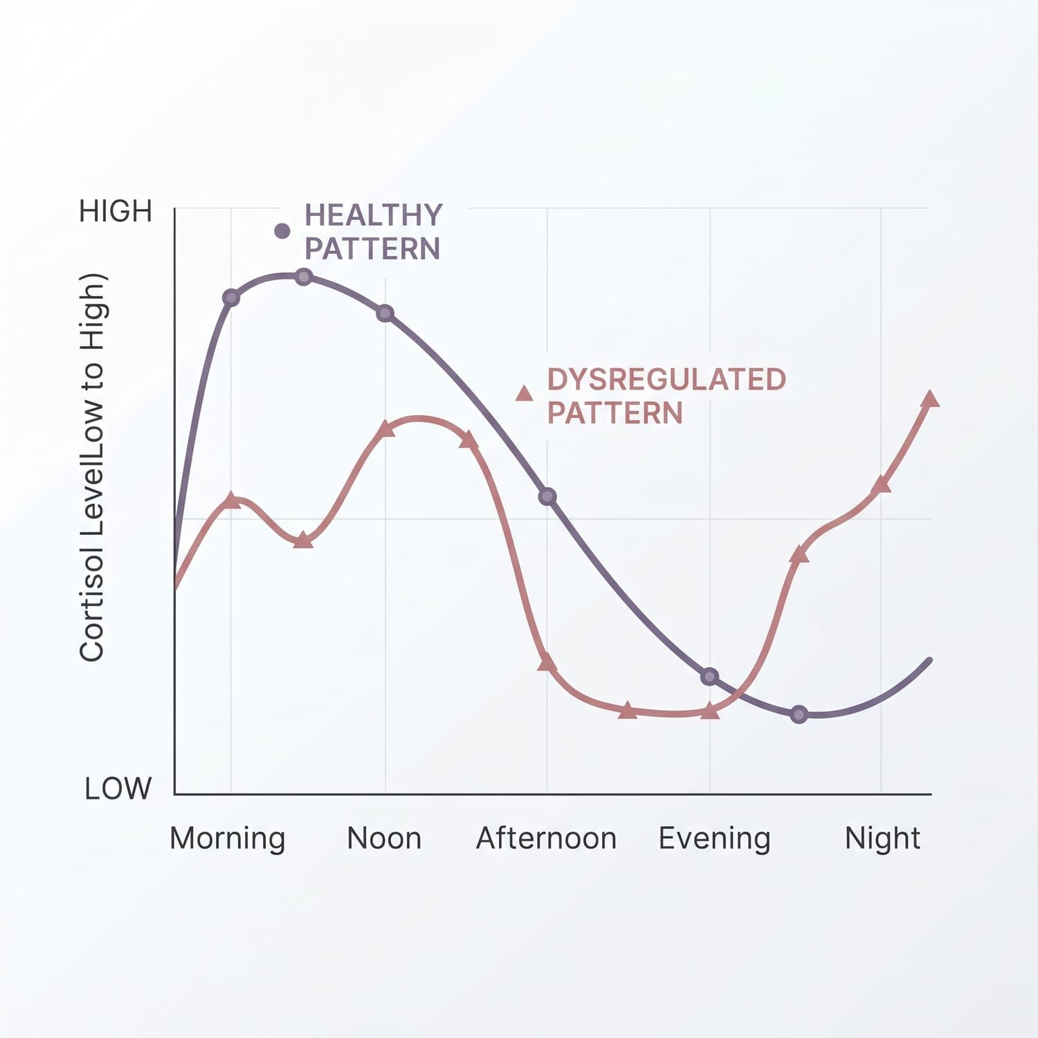 Alt text for Image 1 — Cortisol Rhythm Diagram: