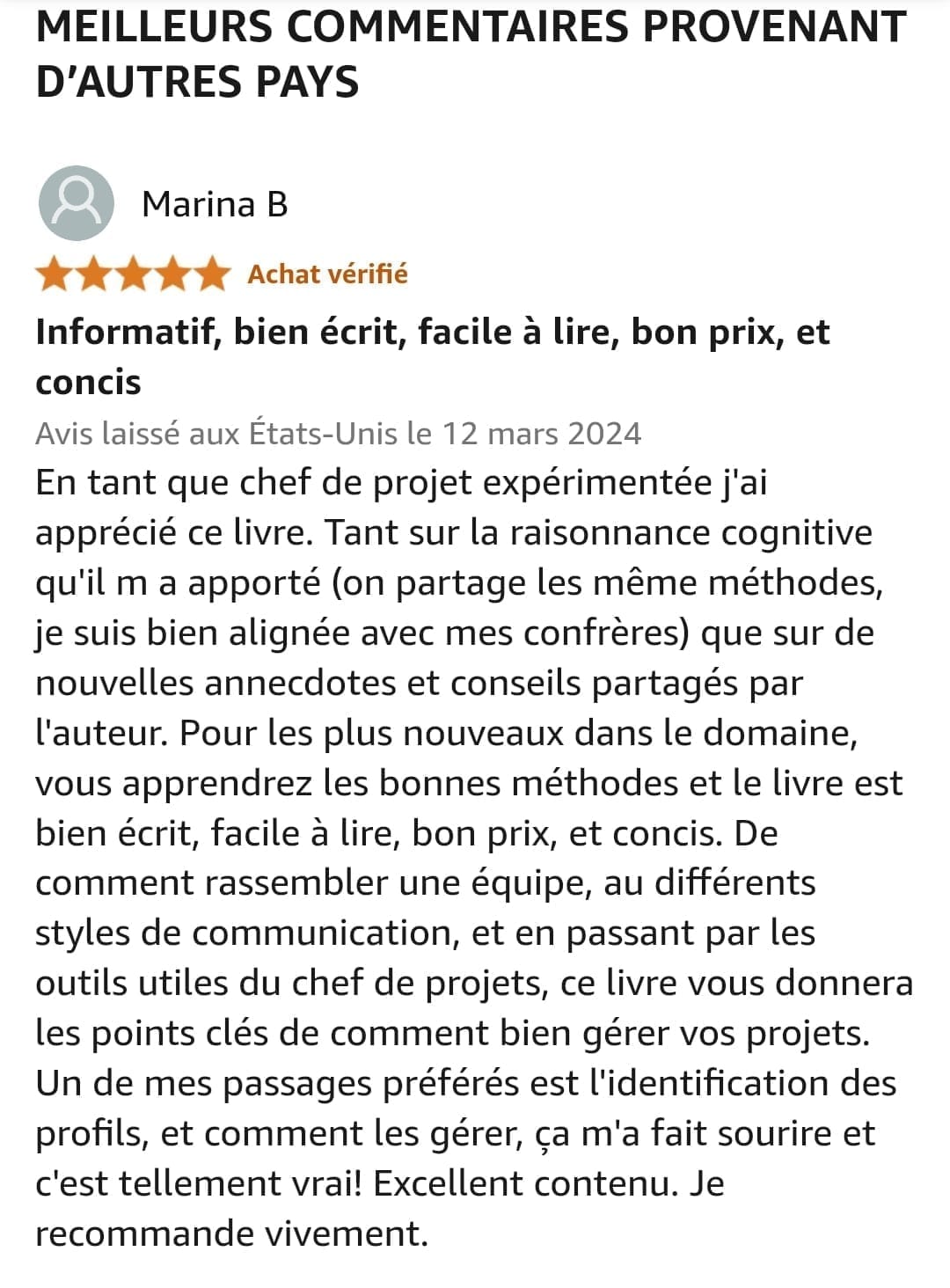 avis ebook chef de projet it