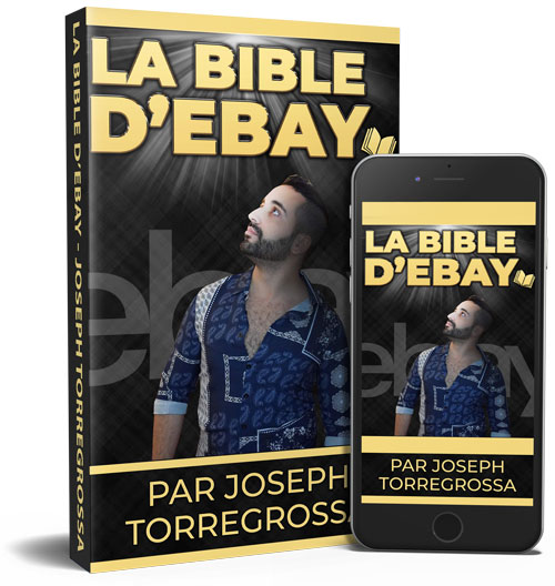 dropshipping ebay ebook