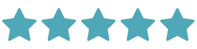 5 stars for AI sales consulting engagement