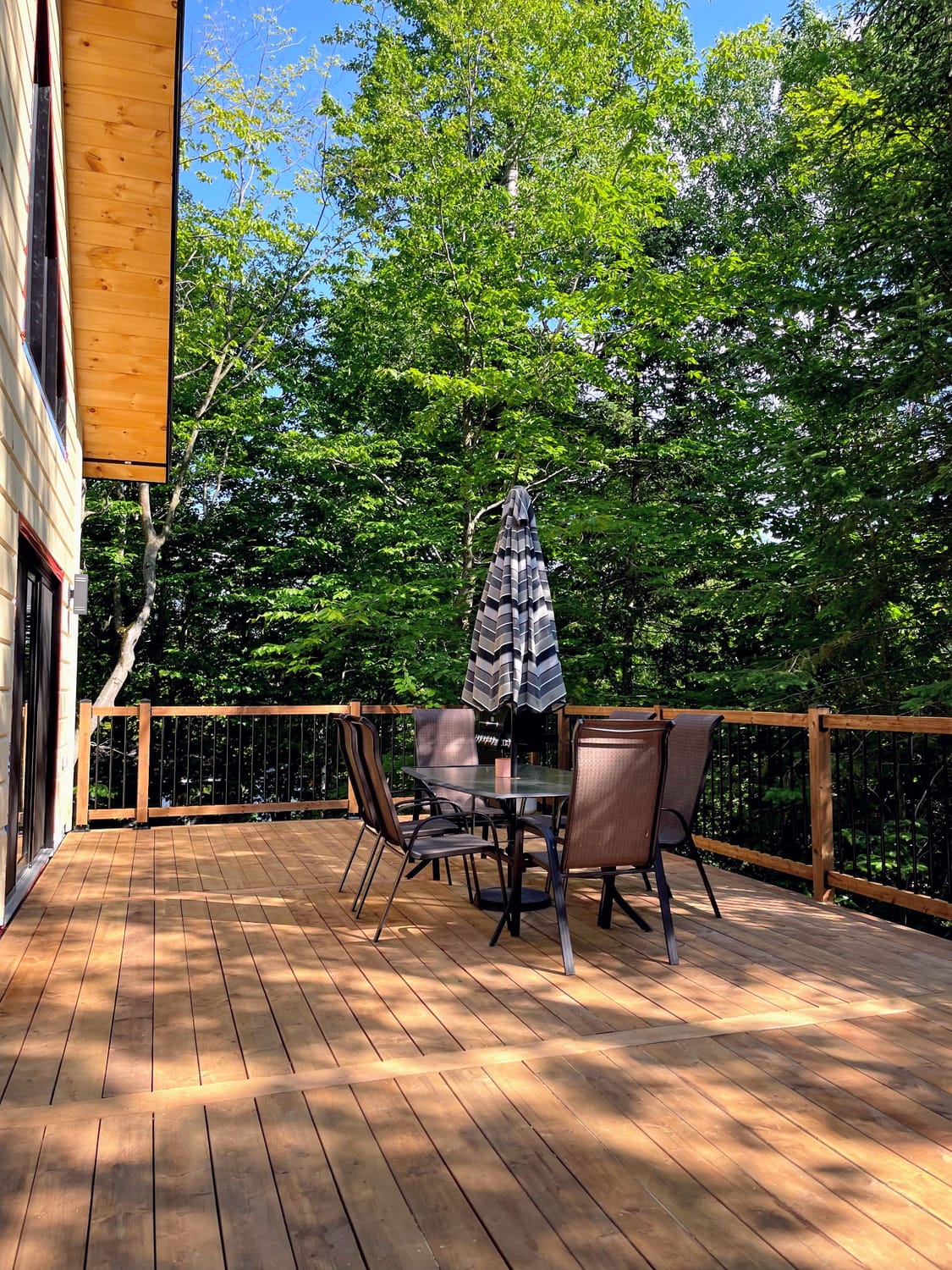 La grande terrasse entour&eacute;e d'arbres