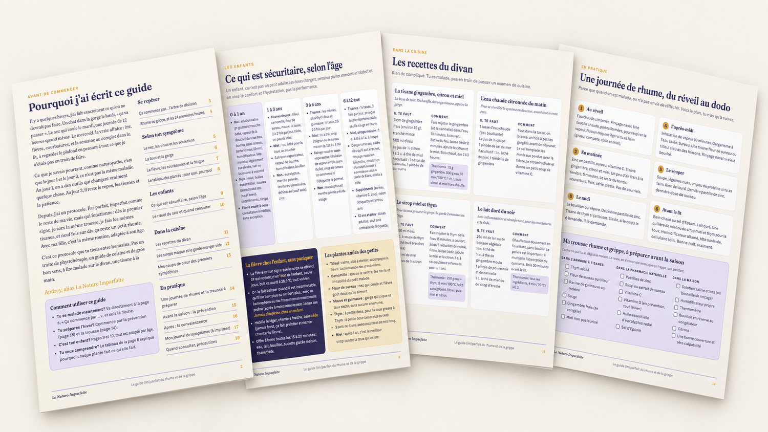 Aperçu des pages du guide