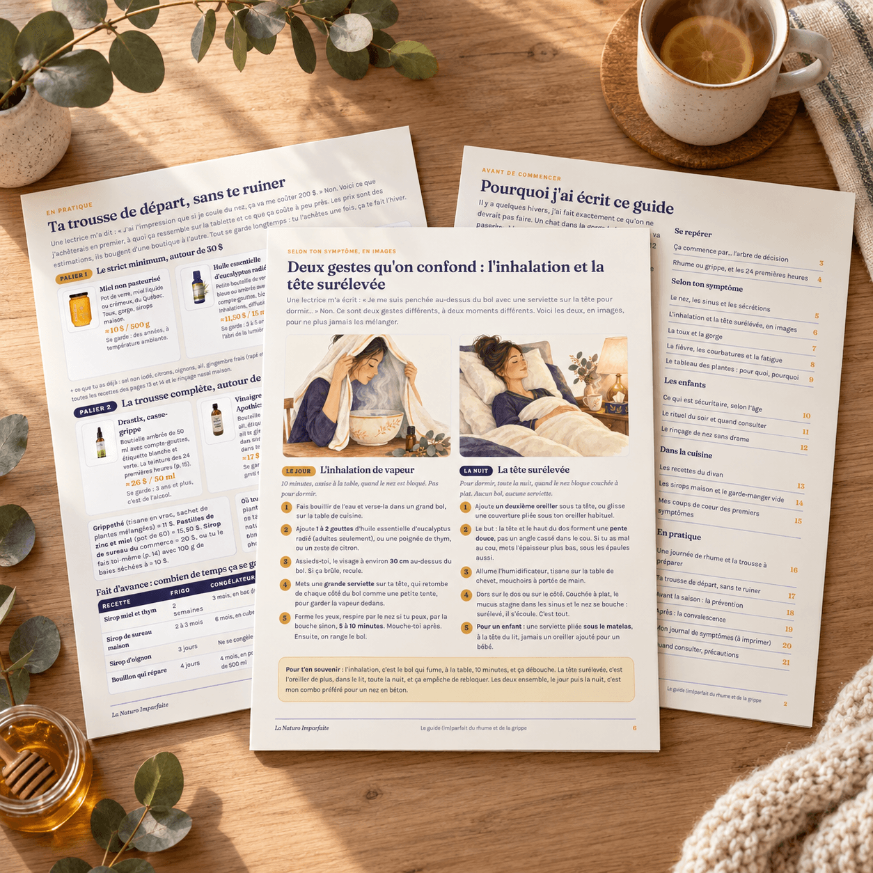 Aperçu des pages 6, 12 et 17 du plan