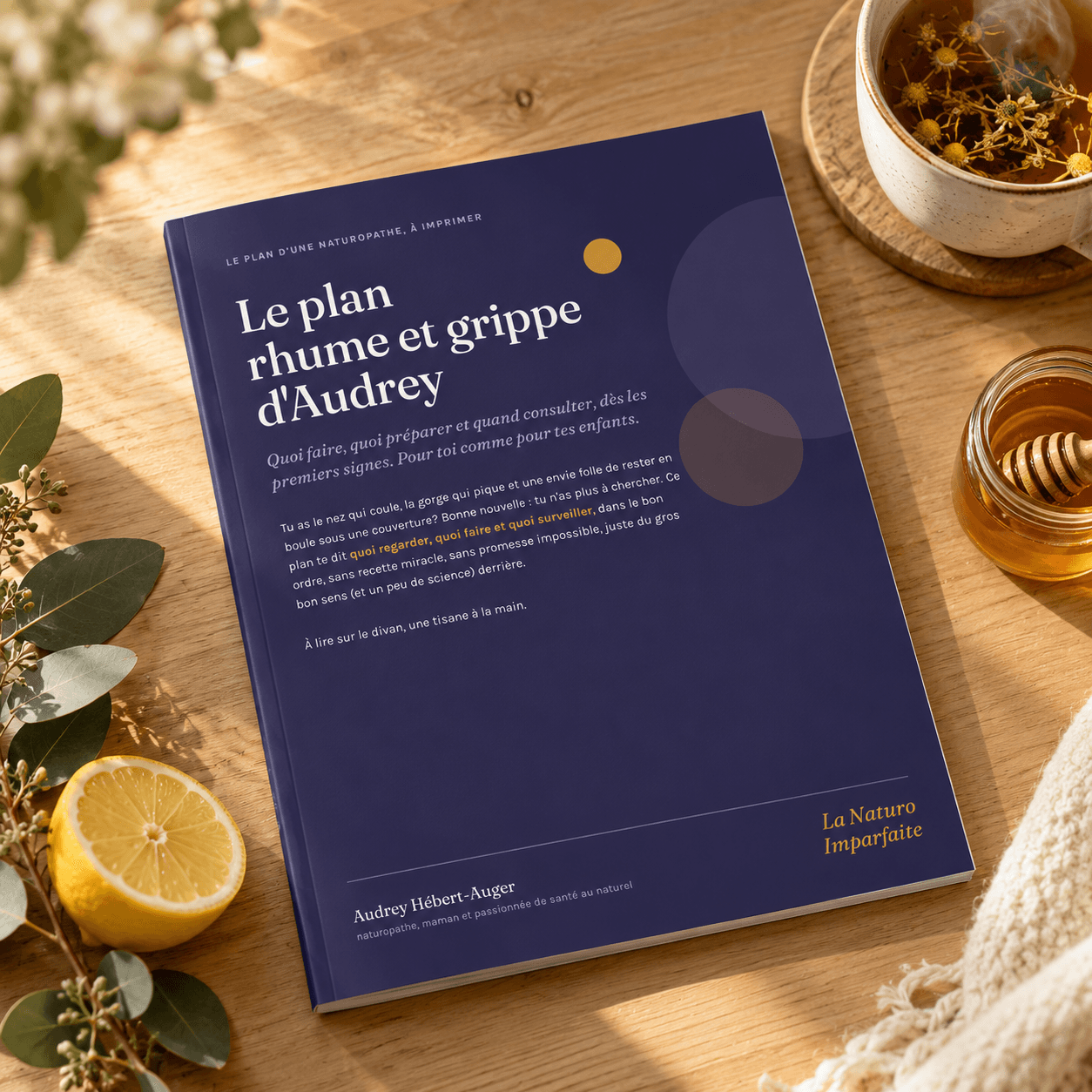 Le plan rhume et grippe d'Audrey, naturopathe