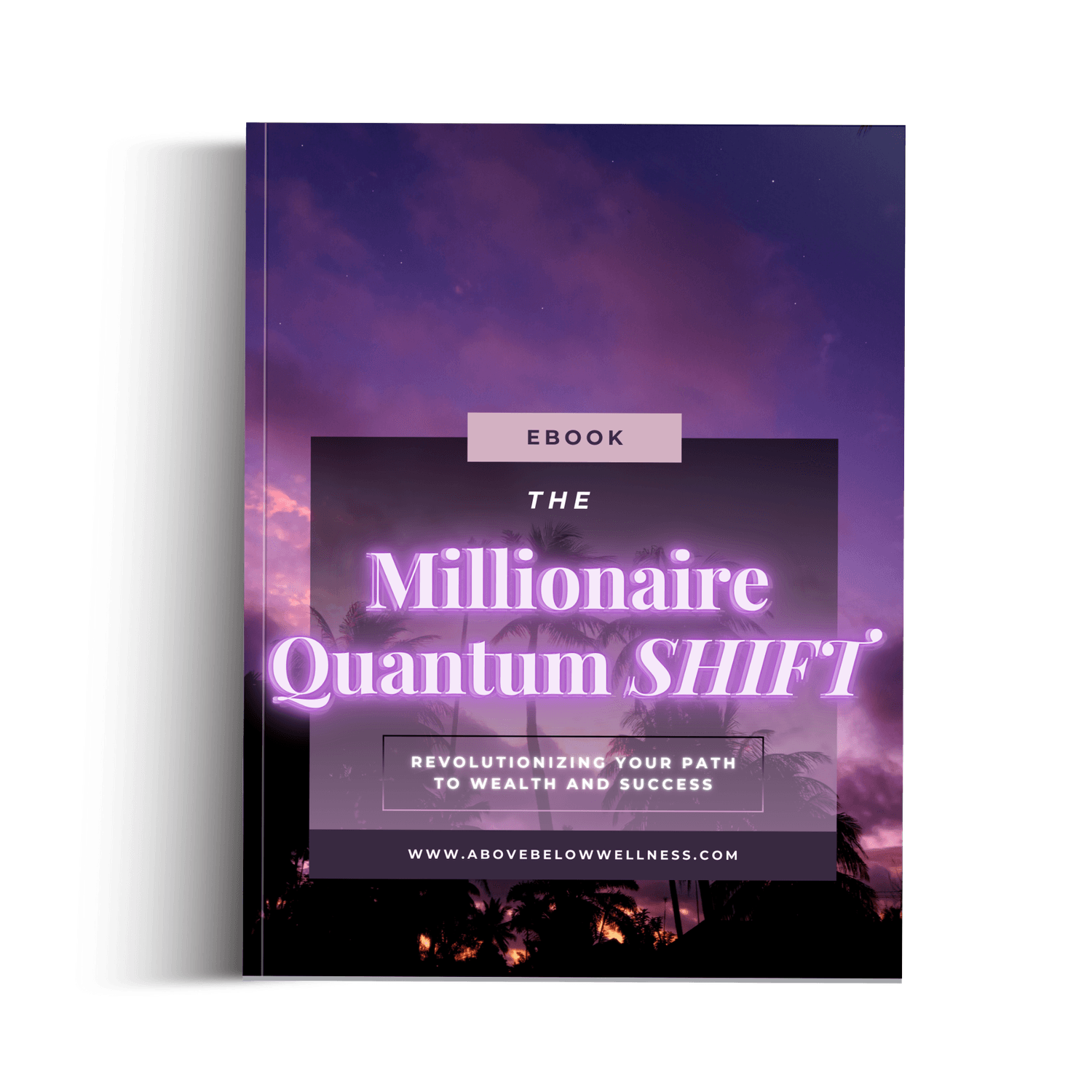 The Millionaire Quantum Shift Ebook $14.99