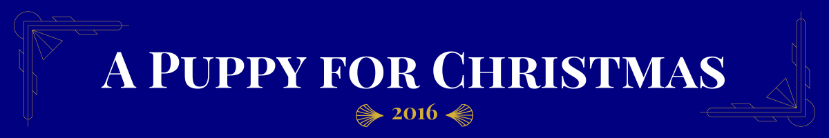 Basic banner of navy ground and very light gold art-deco brackets in the upper left and bottom right corners. In bolded pearl white, a movie title is written. This one says, “A Puppy for Christmas.” Beneath it, in gold, is the date (2016) the movie came out sandwiched between two gold art deco elements.