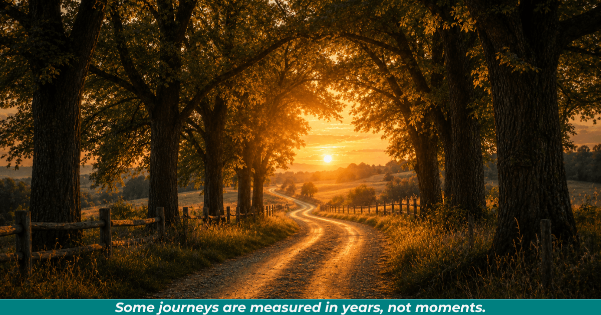 A peaceful country road winding through tall trees toward the setting sun.